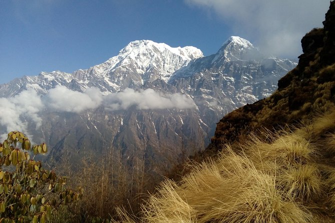 4 Days Mardi Himal Base Camp Trek from Pokhara - Who this trek fits best, and who should reconsider