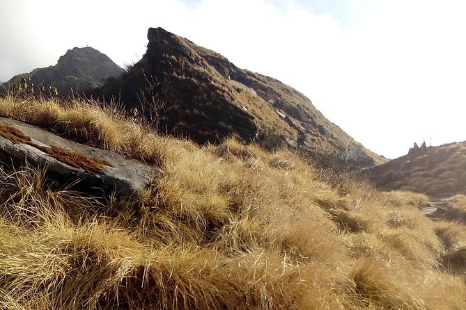 4 Days Mardi Himal Base Camp Trek from Pokhara - The Base Camp day, early start, Fishtail views, and the real payoff