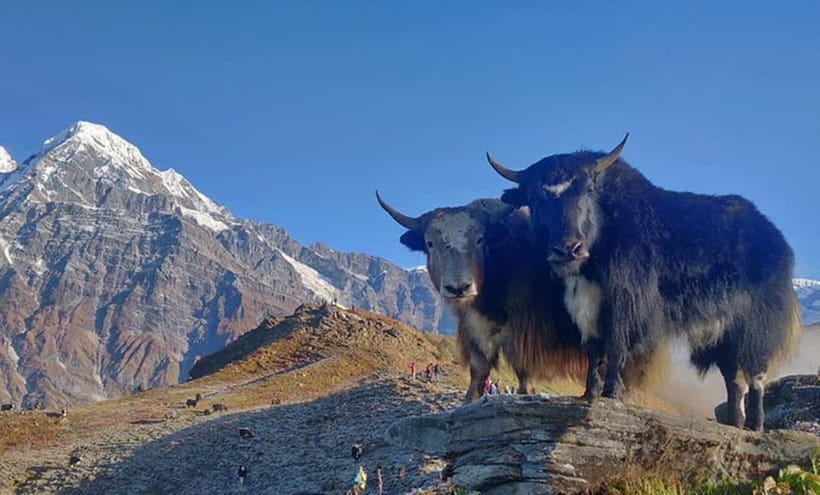 4 Days Pikey Peak Trek : The Best View of Mt Everest - Lodges, food, and comfort on the trail (the realistic version)