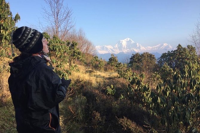4 Days Poon Hill Trek - The Poon Hill sunrise plan, 3,210m and why it works for many people