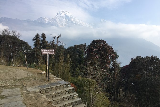 4 Days Poon Hill Trek - From farmland and villages to the kind of forest you remember