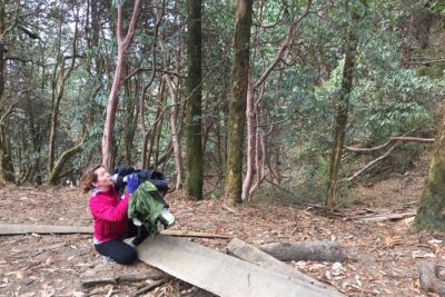 4 Days Poon Hill Trek