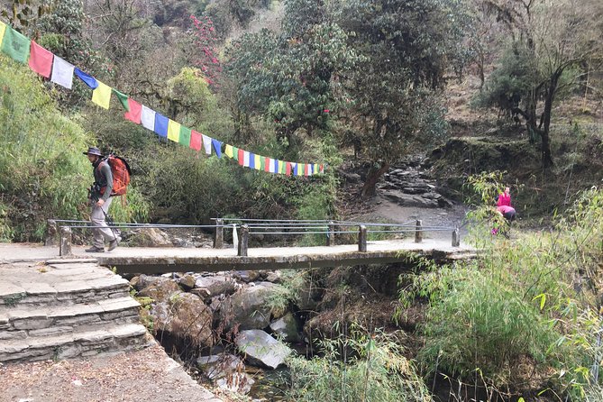4 Days Poon Hill Trek - Tadapani to Ghandruk, then the jeep back to Nayapul and Pokhara