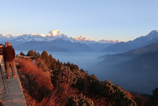 4 Days Poon Hill Trek from Pokhara - Day 1: Pokhara to Ulleri, your first long village walk