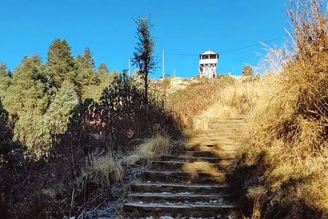 4 Days Poon Hill Trek from Pokhara - Who should book this 4-day Poon Hill trek from Pokhara