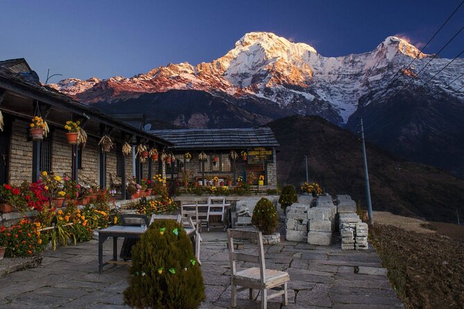 4 Days Poon Hill Trek from Pokhara - Day 2: Ghorepani, rhododendron forests and big views waiting above