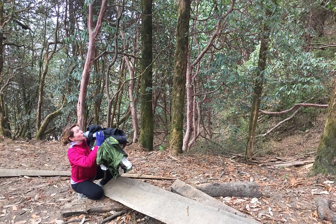4 Days Poon Hill Trek - Price, what you pay for, and what you still need to cover