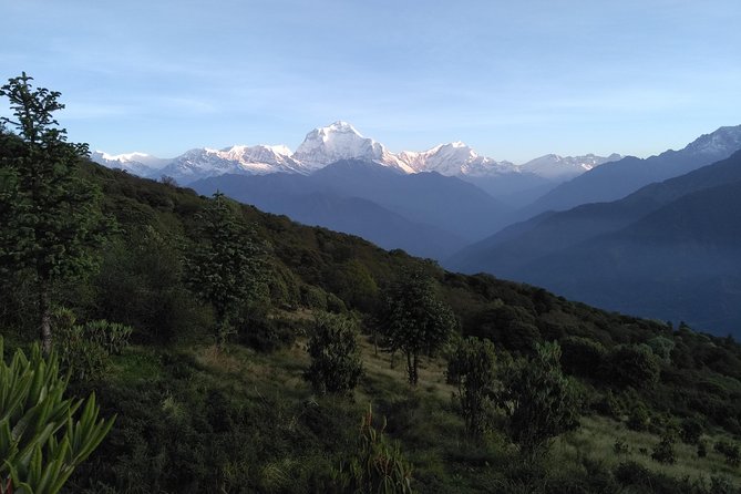 4Nights 5Days PoonHill Trek - Ulleri to Ghorepani, Green Forest Turns Into Mountain Vistas