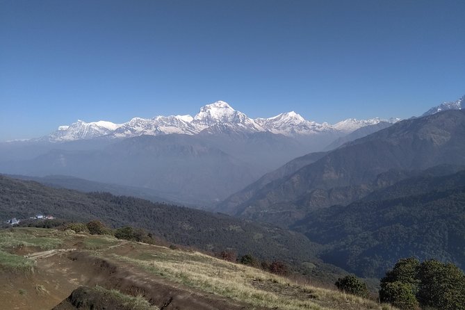 4Nights 5Days PoonHill Trek - Should You Book This 4Nights 5Days Poon Hill Trek?