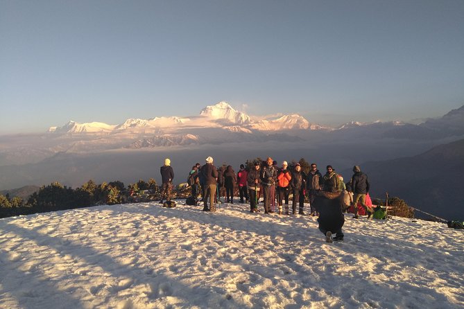 4Nights 5Days PoonHill Trek - Poon Hill Sunrise at 3,210 Meters, Annapurna and Dhaulagiri in One Breath