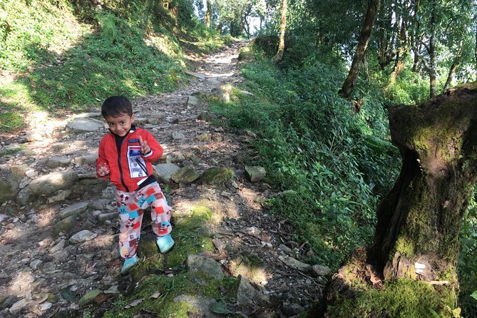 4WD Drive to Dhampus and Easy Hiking to Australian Camp from Pokhara - Price and what you get for $97.69