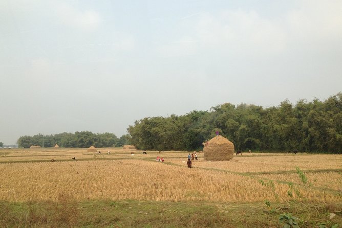 5-Day Private Farming Experience in Nayapul with Accommodation - Key Highlights Worth Planning For