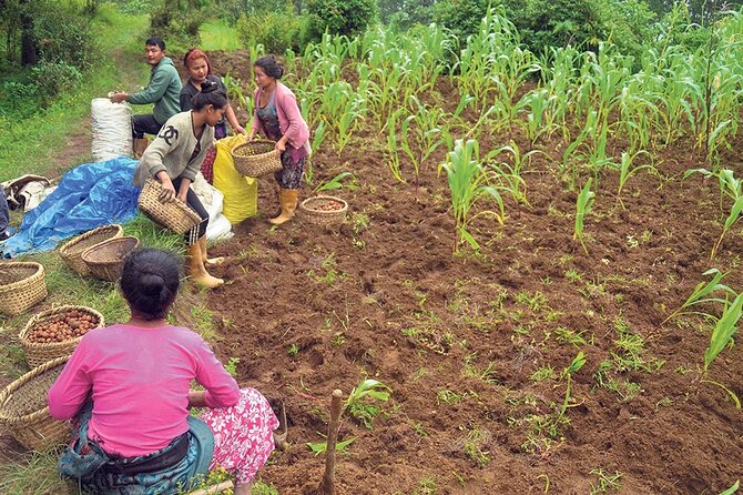 5-Day Private Farming Experience in Nayapul with Accommodation - Price and Value: What $250 Gets You in Plain Terms