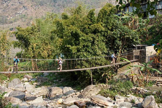 5-Day Private Farming Experience in Nayapul with Accommodation - Day 2: Seasonal Farming Lessons, Then Field Demonstrations
