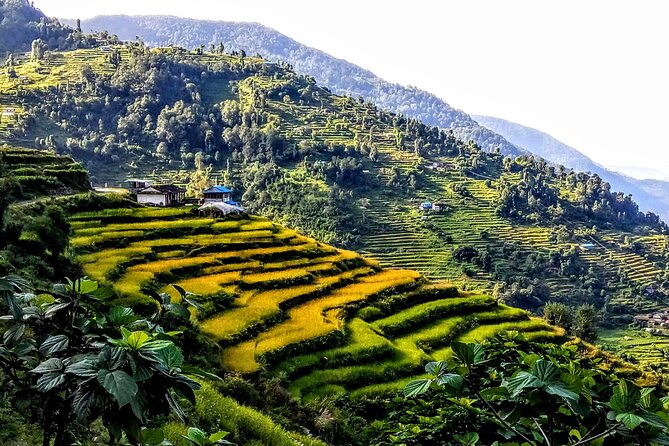 5-Day Private Farming Experience in Nayapul with Accommodation - Day 5: Farewell, Acknowledgement of Your Work, Then Back to Pokhara