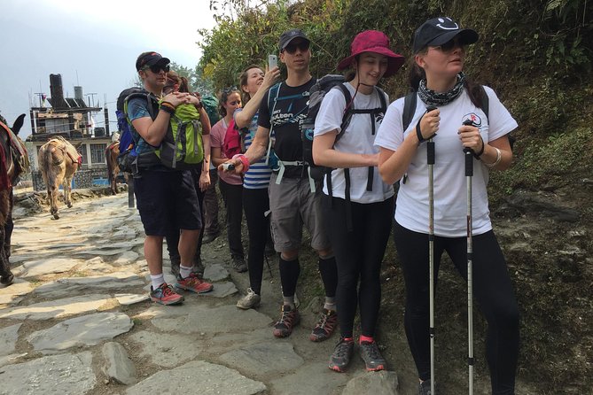 5 Days Annapurna Mountain View Trekking from Pokhara, Nepal - Why this five-day Annapurna foothills route feels efficient