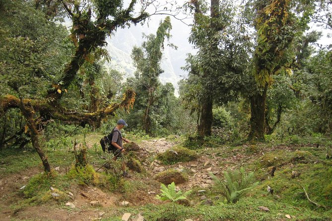 5 Days Mardi Himal Base Camp Trek - Day 3 High Camp, Trekkers Paradise, and Peak Views Beyond Fishtail