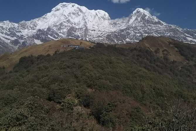 5 Days Mardi Himal Trek. - Teahouses, meals, and budgeting the extra $30 per day