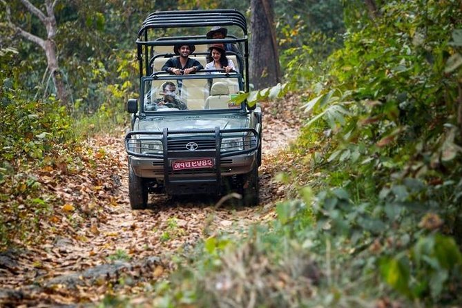 5 night / 6 days Kathmandu Nagarkot Chitwan Pokhara tour - Pokhara after Chitwan: how you transition from jungle to lakes