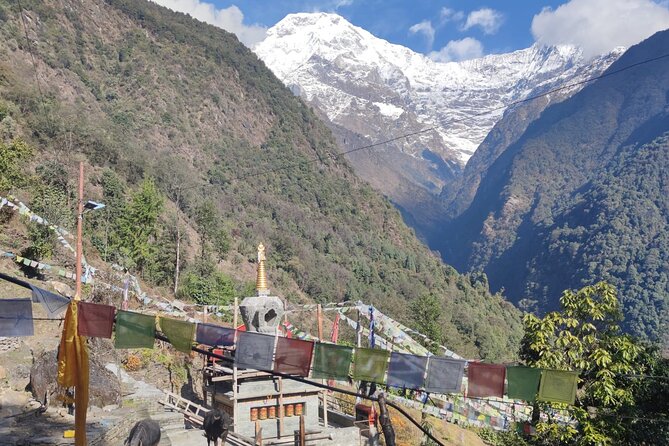 6 days Annapurna Basecamp Trek - Modi River Valley to Dovan and the Push to Base Camp