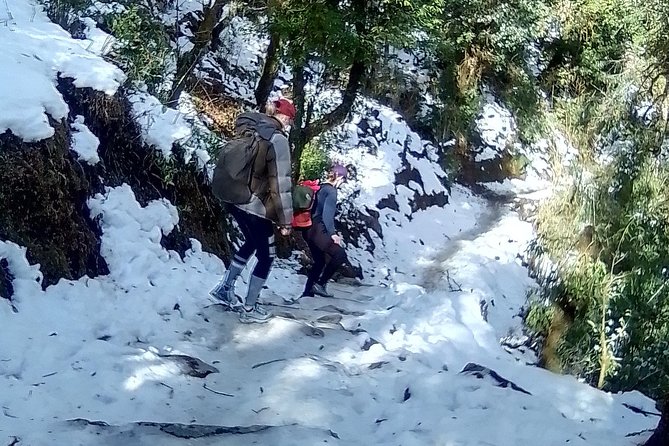 6 Days Poon Hill - Ghandruk Circuit Trek from Kathmandu - Key highlights to know before you go