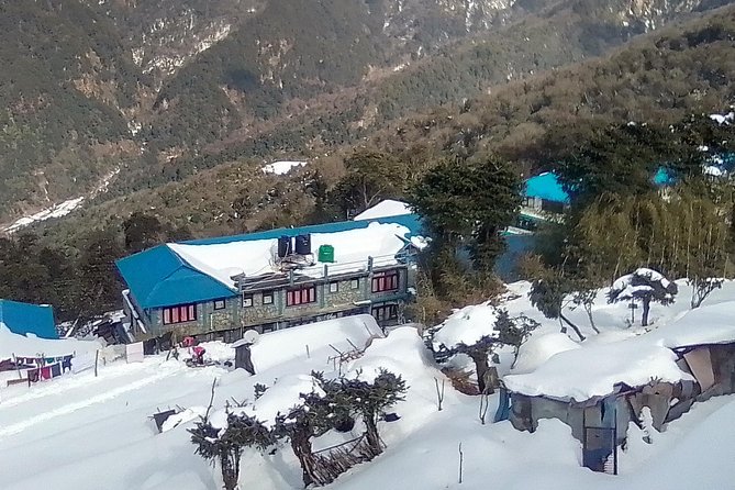 6 Days Poon Hill - Ghandruk Circuit Trek from Kathmandu - Day 2 Ulleri and Nayapul: Your First Trekday Rhythm