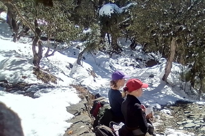 6 Days Poon Hill - Ghandruk Circuit Trek from Kathmandu - Price and What You Really Get for $340