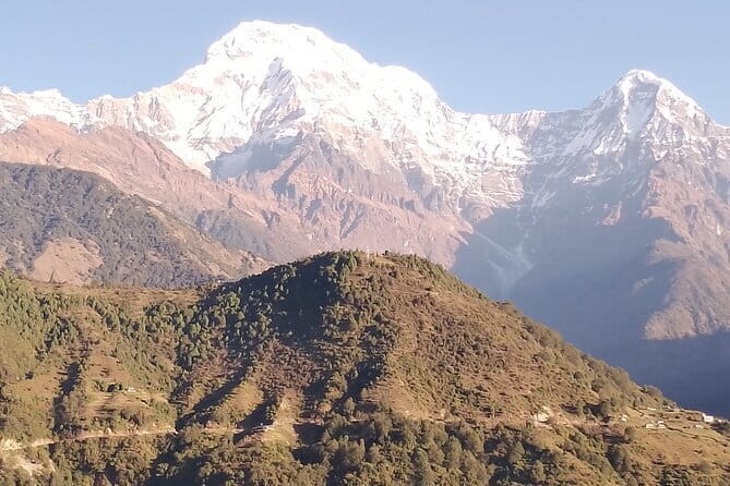 7-Day Trek to Annapurna Base Camp from Pokhara - Day 3: Upper Sinuwa to Deurali, toward cooler air and Annapurna Sanctuary