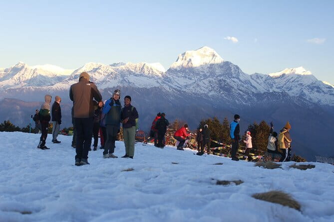 7-Day Trek to Annapurna Base Camp from Pokhara - Day 6: Bamboo to Jhinu Danda, forest walking, bridges, and that one last climb