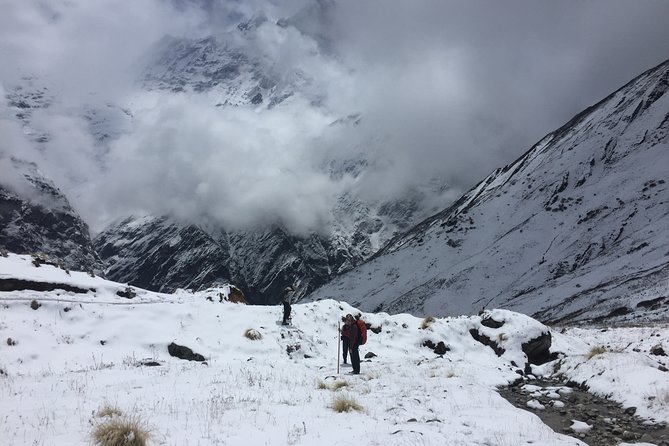 7 Days Annapurna Base Camp Trek from Pokhara - Down to Bamboo, Hot Springs, and Back to Ghandruk: Recover Without Wasting Time
