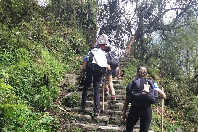 7 Days Annapurna Base Camp Trek from Pokhara - Chhomrong Day: Your Body Learns the Rhythm