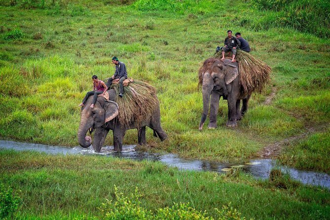 7 Days Nepal Adventure Tour - Day 3: Chitwan District, town time before the park