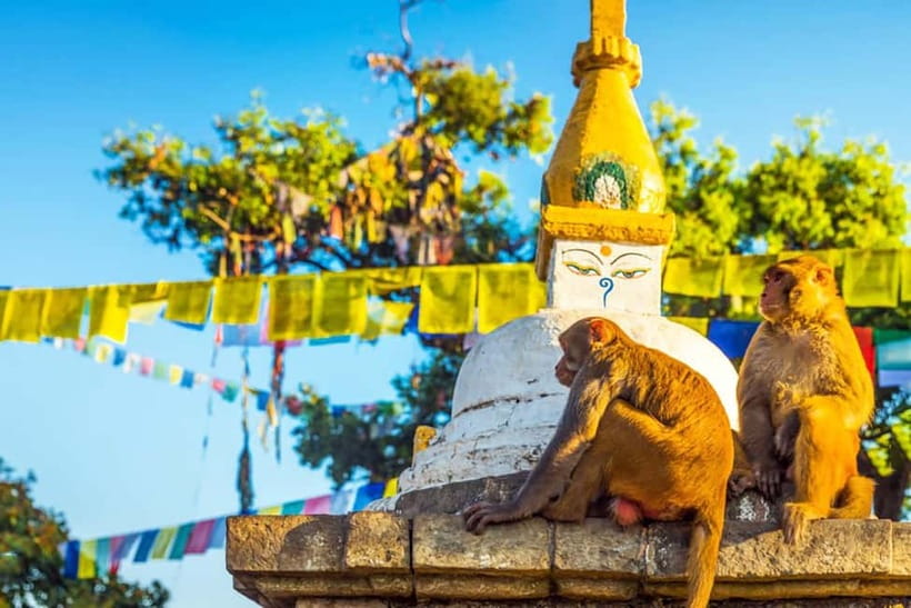 7-Wonders of Kathmandu: Thorough, at your comfort 1-Day Tour - Boudhanath Stupa and the Tibetan Buddhism atmosphere of Little Tibet