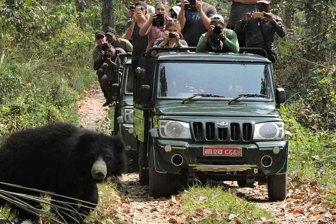 8 Days Nepal Tour (Kathmandu, Pokhara, and Chitwan Tour) - Why this Kathmandu-Pokhara-Chitwan route makes sense in just 8 days