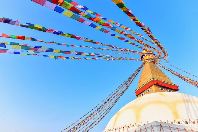 8 Days Nepal Tour (Kathmandu, Pokhara, and Chitwan Tour) - Day 6 in Chitwan National Park: canoeing, jungle walk, and a jeep safari for real wildlife