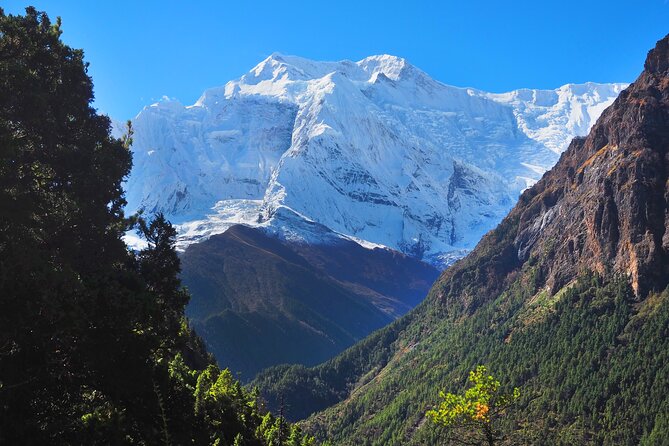 8 Days Private Guided Trekking in Annapurna Circuit with Pickup - Day 3: Ngawal viewpoints and Manang, where acclimatization starts to feel real