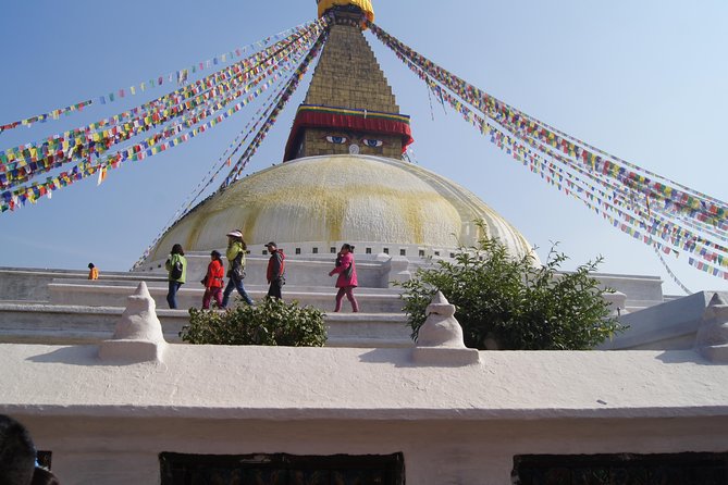 8 Days Special Nepal Tour Package - Day 4 Chitwan wildlife day: cannoning, jungle walking, and Jeep safari