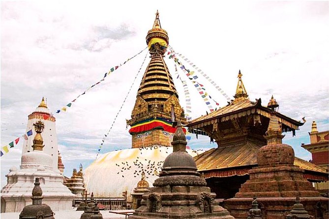 8 Days Tour in Nepal - Kathmandu, Chitwan & Pokhara (3 & 4 Star) - Leaving Kathmandu for Chitwan: The Day You Trade Traffic for Trees