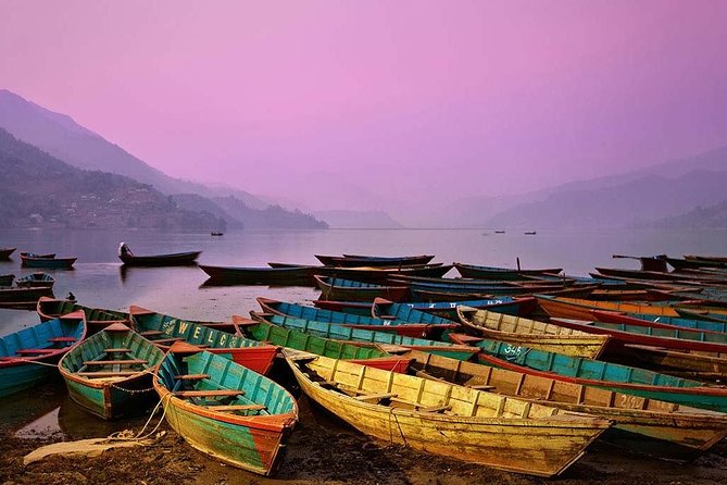 8 Days Tour in Nepal - Kathmandu, Chitwan & Pokhara (3 & 4 Star) - Chitwan National Park Safari Day: Wildlife Time With Real Structure