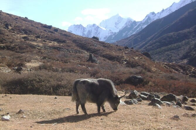 9 Days LANGTANG VALLEY TREKKING IN NEPAL - Syabrubesi Hot Spring: your first real “reset” day