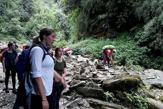 9 Days short and Easy Ghorepani Poonhill Trekking in Nepal - Price, What You Get For $800, and Who This Works Best For
