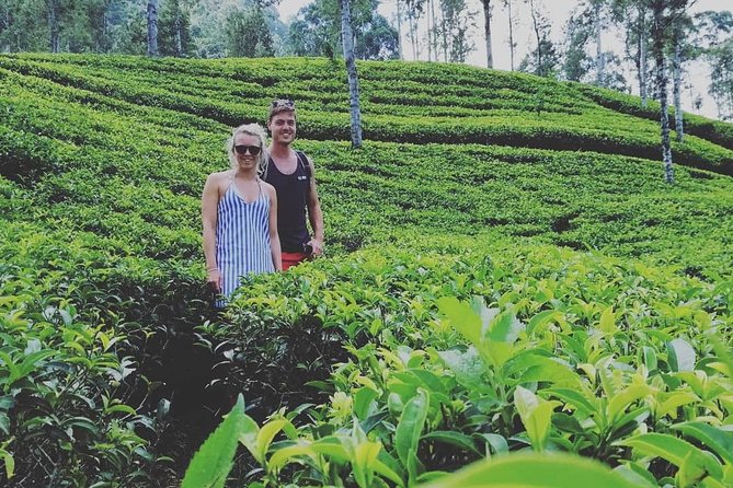 Adam's peak (Sri pada) Waterfalls tour - Waterfalls around Nallathanniya lake: what you’re really going for