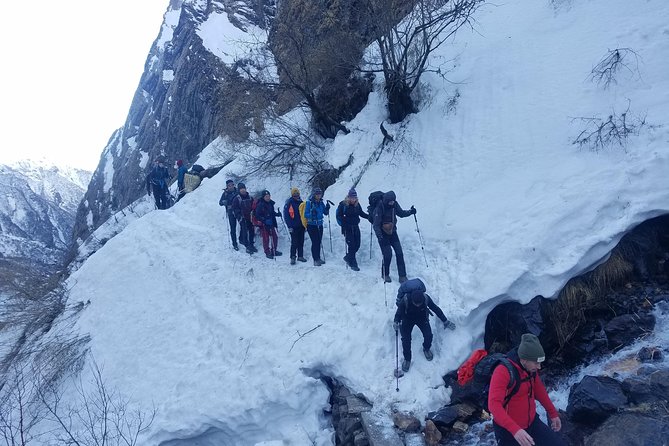 Adventurous Annapurna Base Camp Trekking - Poon Hill Sunrise, then Tadapani and Close Views