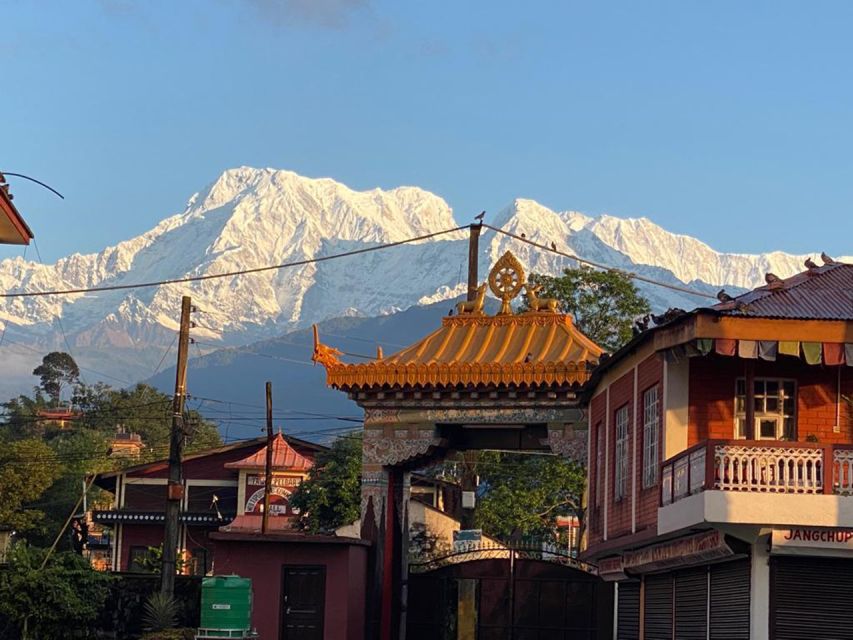 Afternoon Tibetan cultural tour - Afternoon prayer chanting: sound, instruments, and the feeling of it