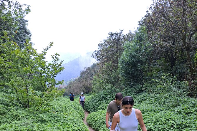 Amazing 1 Day Trekking Experience in Kathmandu Nepal - Champadevi Temple Stop: A Scenic Hilltop Pause