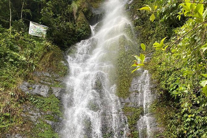 Amazing Royal Twins Waterfall and Natural Begnas Lake Hiking Trip from Pokhara - Key highlights you will actually use