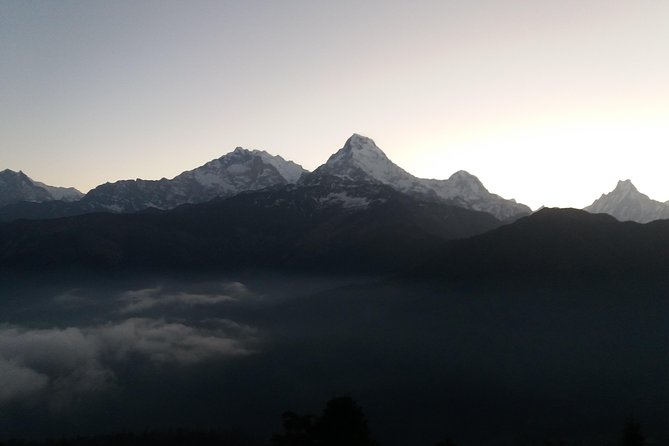 Annapurna: 2 Days Poon Hill Trek from Pokhara - Day 1 to Ghorepani: Stairs, Rhododendron Forest, and a Real Overnight