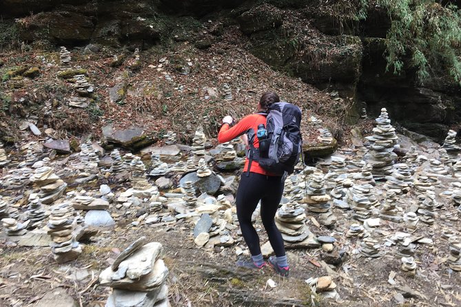 Annapurna: 3 Days Poon Hill Trek (to Kimche & from Hile with 4WD) - Day 1: 4WD to Kimche, Then Trek to Ghandruk and Tadapani