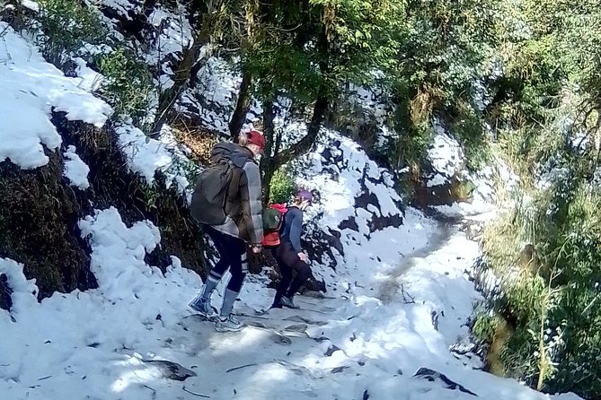Annapurna: 5 Days Poon Hill Circuit Trek from Pokhara - Key highlights worth clocking before you go