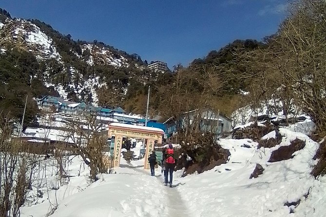 Annapurna: 5 Days Poon Hill Circuit Trek from Pokhara - Guest houses, guides, and why the human part is the real upgrade